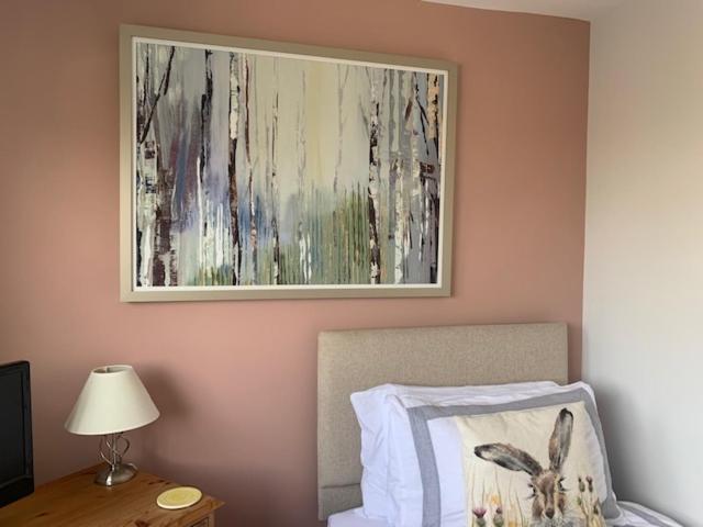 The Firs At Hay-On-Wye B&B Экстерьер фото