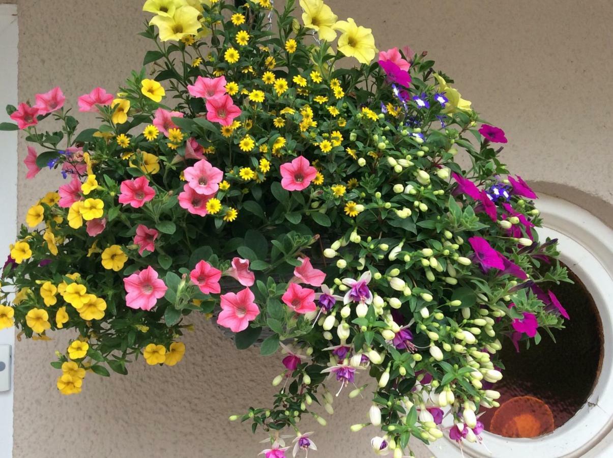 The Firs At Hay-On-Wye B&B Экстерьер фото